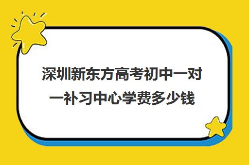 深圳新东方高考初中一对一补习中心学费多少钱