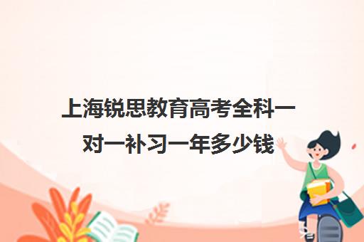 上海锐思教育高考全科一对一补习一年多少钱