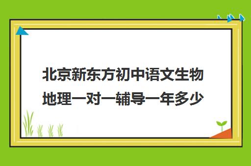 北京新东方初中语文生物地理一对一辅导一年多少钱（语文辅导哪家机构最好）