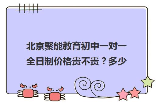 北京聚能教育初中一对一全日制价格贵不贵？多少钱一年（聚能教育靠谱吗）