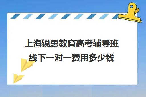 上海锐思教育高考辅导班线下一对一费用多少钱（上海高三全日制补课机构）