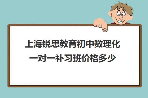 上海锐思教育初中数理化一对一补习班价格多少