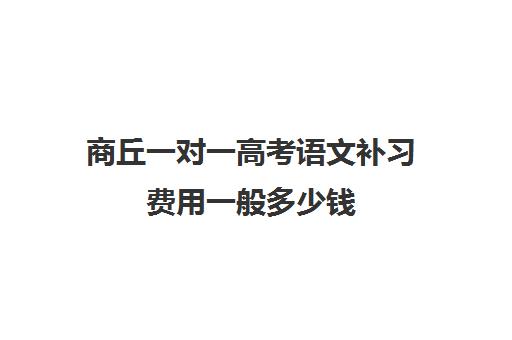 商丘一对一高考语文补习费用一般多少钱