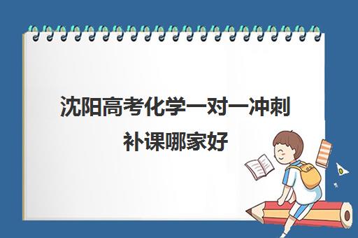 沈阳高考化学一对一冲刺补课哪家好(高中一对一化学辅导)