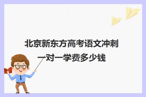 北京新东方高考语文冲刺一对一学费多少钱（新东方高考冲刺班封闭式全日制）