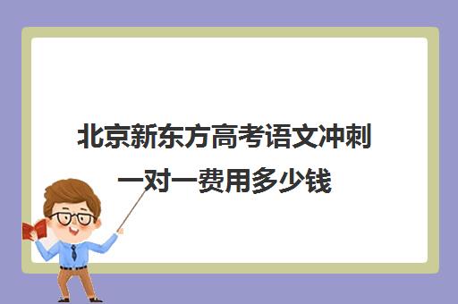 北京新东方高考语文冲刺一对一费用多少钱（新东方高考冲刺班封闭式全日制）