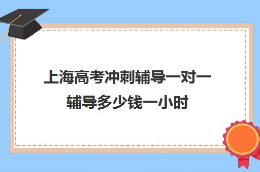 上海高考冲刺辅导一对一辅导多少钱一小时(高三一对一辅导)