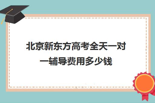 北京新东方高考全天一对一辅导费用多少钱（新东方补课有效果吗）