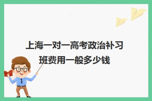 上海一对一高考政治补习班费用一般多少钱