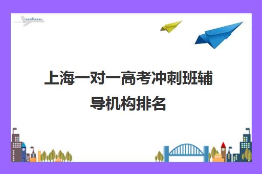 上海一对一高考冲刺班辅导机构排名(高考一对一辅导机构哪个好)