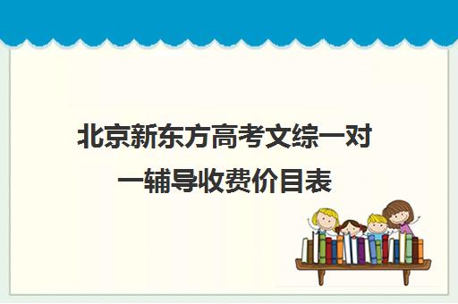 北京新东方高考文综一对一辅导收费价目表（高考一对一辅导机构哪个好）