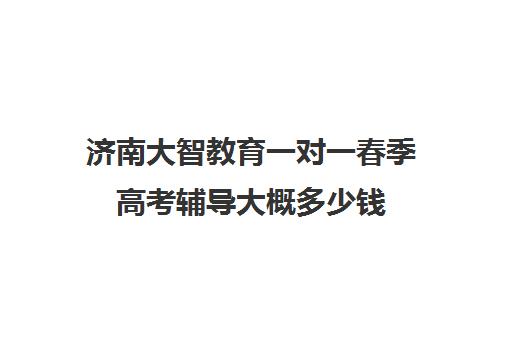 济南大智教育一对一春季高考辅导大概多少钱(大智教育一对一多少钱)