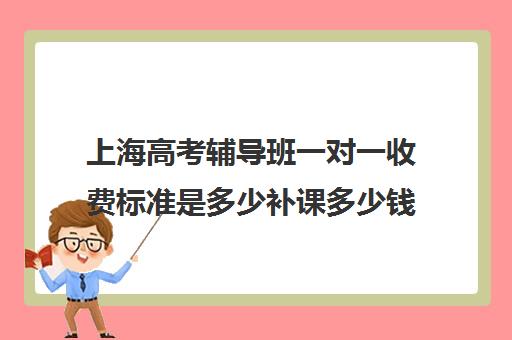 上海高考辅导班一对一收费标准是多少补课多少钱一小时(小学生一对一收费标准)