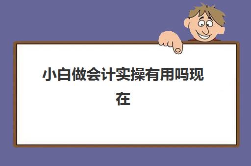 小白做会计实操有用吗现在(有谁在恒企学过会计的)