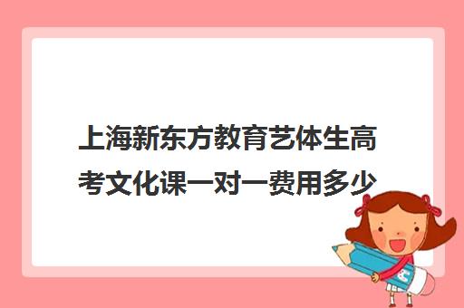 上海新东方教育艺体生高考文化课一对一费用多少钱(新东方艺考文化课)