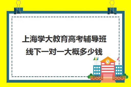 上海学大教育高考辅导班线下一对一大概多少钱（上海高考补课机构排名）