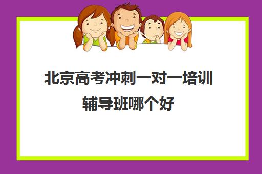 北京高考冲刺一对一培训辅导班哪个好(北京高三补课机构排名)