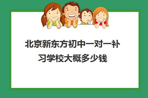 北京新东方初中一对一补习学校大概多少钱