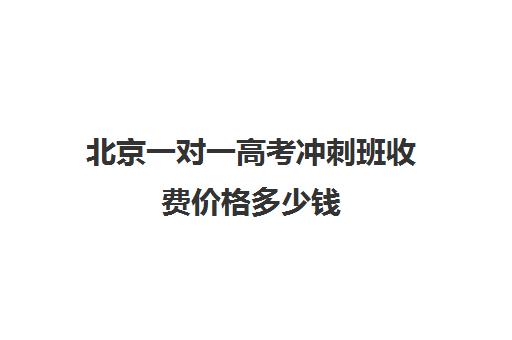 北京一对一高考冲刺班收费价格多少钱(高考一对一辅导多少钱一小时)