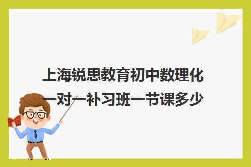 上海锐思教育初中数理化一对一补习班一节课多少钱