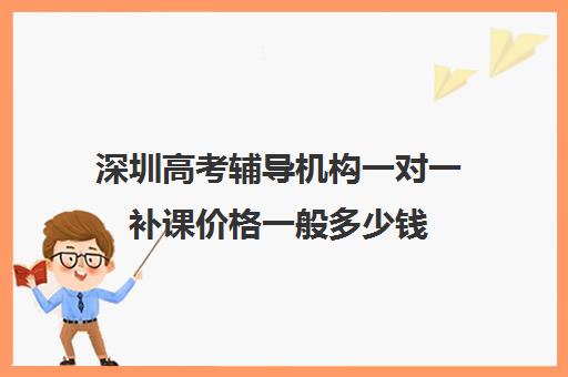 深圳高考辅导机构一对一补课价格一般多少钱(深圳补课一对一价格)