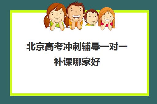 北京高考冲刺辅导一对一补课哪家好(高考辅导机构排行榜是怎样的)