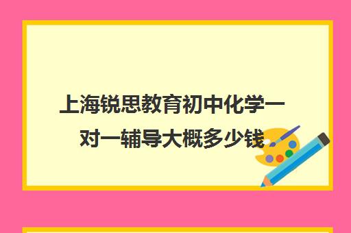 上海锐思教育初中化学一对一辅导大概多少钱（正规的初中补课机构）