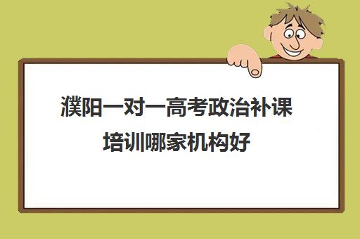 濮阳一对一高考政治补课培训哪家机构好(高中网上培训哪个比较好)