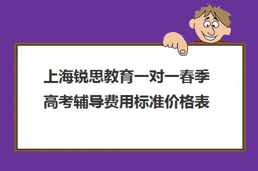 上海锐思教育一对一春季高考辅导费用标准价格表（古筝一对一的费用标准合肥）