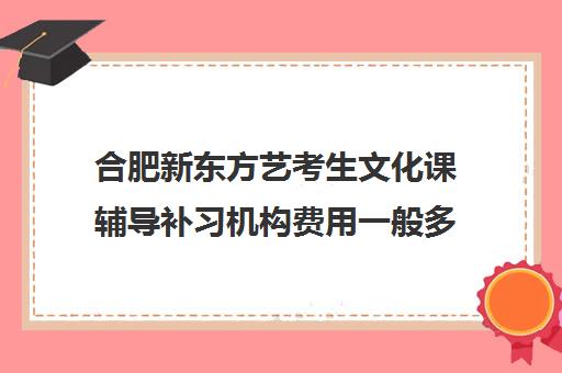 合肥新东方艺考生文化课辅导补习机构费用一般多少钱