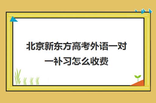 北京新东方高考外语一对一补习怎么收费