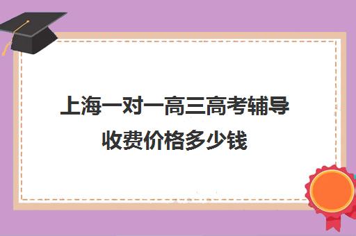 上海一对一高三高考辅导收费价格多少钱(高三补课辅导班)