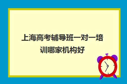 上海高考辅导班一对一培训哪家机构好(上海成人高考辅导班)