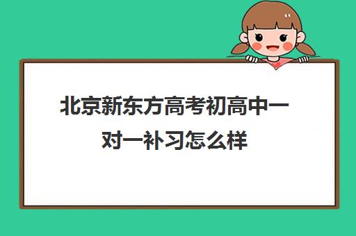 北京新东方高考初高中一对一补习怎么样