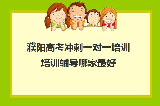 濮阳高考冲刺一对一培训培训辅导哪家最好(高考冲刺班哪个学校好)