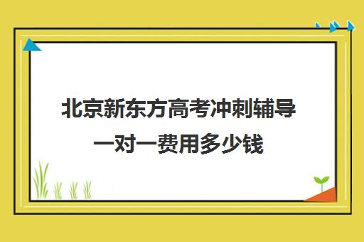 北京新东方高考冲刺辅导一对一费用多少钱（新东方一对一效果如何）