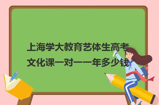 上海学大教育艺体生高考文化课一对一一年多少钱（艺考生一对一的辅导）