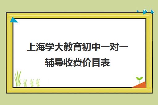 上海学大教育初中一对一辅导收费价目表(学大教育一对一辅导怎么样)