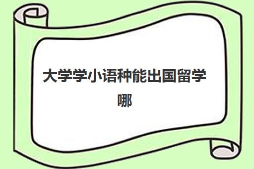 大学学小语种能出国留学哪(小语种学什么最好)