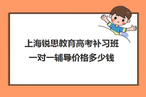 上海锐思教育高考补习班一对一辅导价格多少钱