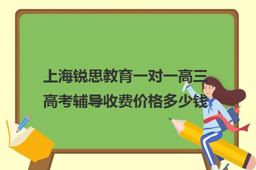 上海锐思教育一对一高三高考辅导收费价格多少钱（锐思教育官网）