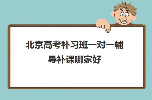 北京高考补习班一对一辅导补课哪家好