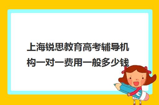 上海锐思教育高考辅导机构一对一费用一般多少钱（上海精锐一对一收费标准）