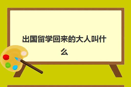 出国留学回来的大人叫什么(去国外留学回来人变了)