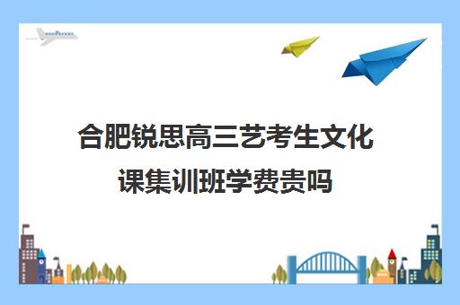 合肥锐思高三艺考生文化课集训班学费贵吗(新东方艺考文化课全日制辅导)