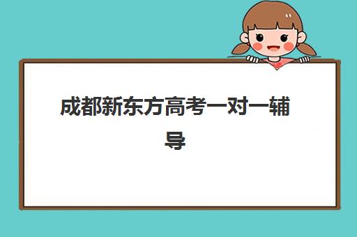 成都新东方高考一对一辅导(成都高中一对一补课机构哪个最好)