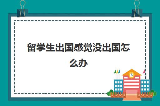 留学生出国感觉没出国怎么办(大学毕业了还能去国外留学吗)