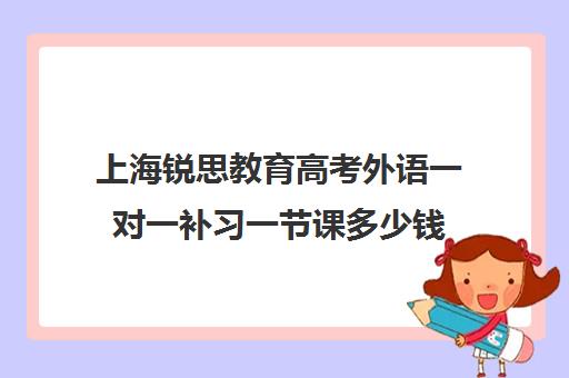 上海锐思教育高考外语一对一补习一节课多少钱