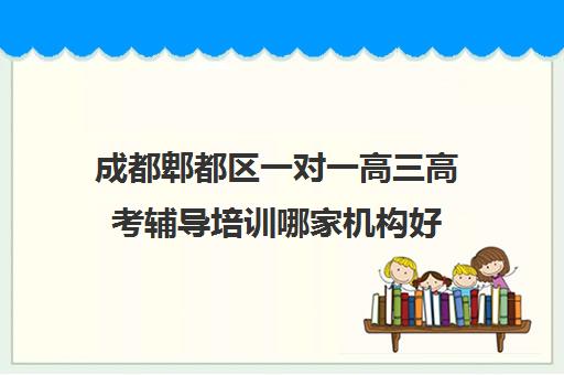 成都郫都区一对一高三高考辅导培训哪家机构好(高三必须要一对一吗)