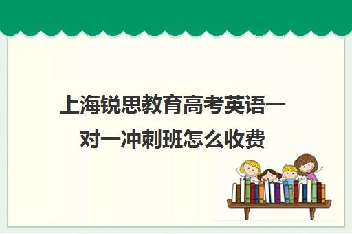 上海锐思教育高考英语一对一冲刺班怎么收费（上海英语培训机构前十名）